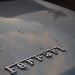 a close up of the name of a car